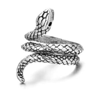 Bague Serpent Couleuvre Acier Noir Femme — Serpent Univers