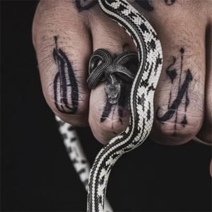 Bague Serpent Alliage Zinc Homme — Serpent Univers