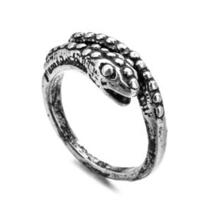 Bague Serpent Cercle Épuré Audacieuse — Serpent Univers