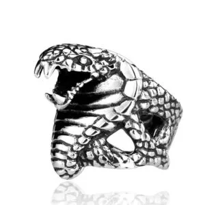 Bague Serpent En Acier Inoxydable 316l : L’élégance De La Tentation! 1 Bague Serpent En Acier Inoxydable 316l: L’élégance De La Tentation! - 9 (59,5mm)