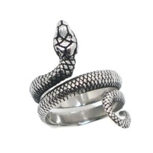 Bague Serpent Argentée Acier Moderne — Serpent Univers
