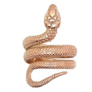 Bague Serpent En Acier Inoxydable 316l: Mystère Et élégance! - 6 (52mm)