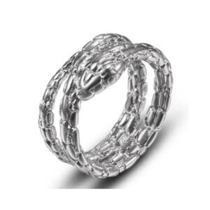 Bague Serpent Minimaliste Acier Inoxydable — Serpent Univers