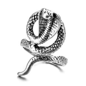 Bague Serpent Acier Égyptienne Cobra — Serpent Univers