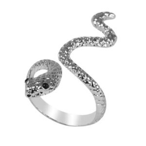 Bague Serpent Spirale Acier Inoxydable — Serpent Univers
