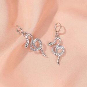 Boucle d&rsquo;Oreille Serpent Acier Audacieuse Femme — Serpent Univers