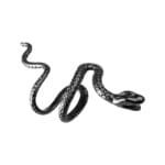 Boucles D’oreilles Serpent: Un Style Tendance Pour Toutes Les Oreilles!