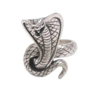 Bague Cobra Égyptien Argent Ouroboros — Serpent Univers
