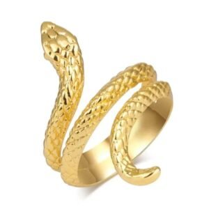 Bague Serpent Acier Inoxydable 316L — Serpent Univers