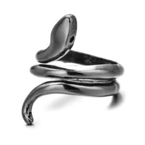 Bague Serpent Noir Acier Fin — Serpent Univers
