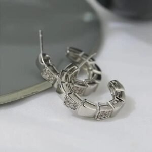 Boucle d&rsquo;Oreille Serpent Argent Acier Inoxydable — Serpent Univers