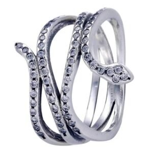 Bague Serpent Argent Sterling Évolution — Serpent Univers