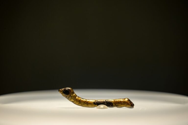 quel est le meilleur répulsif pour serpent