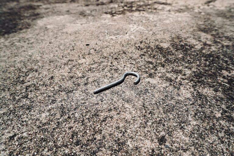 que représente le serpent