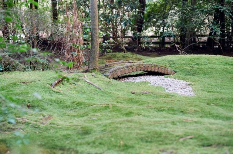 il y a un serpent dans ma botte